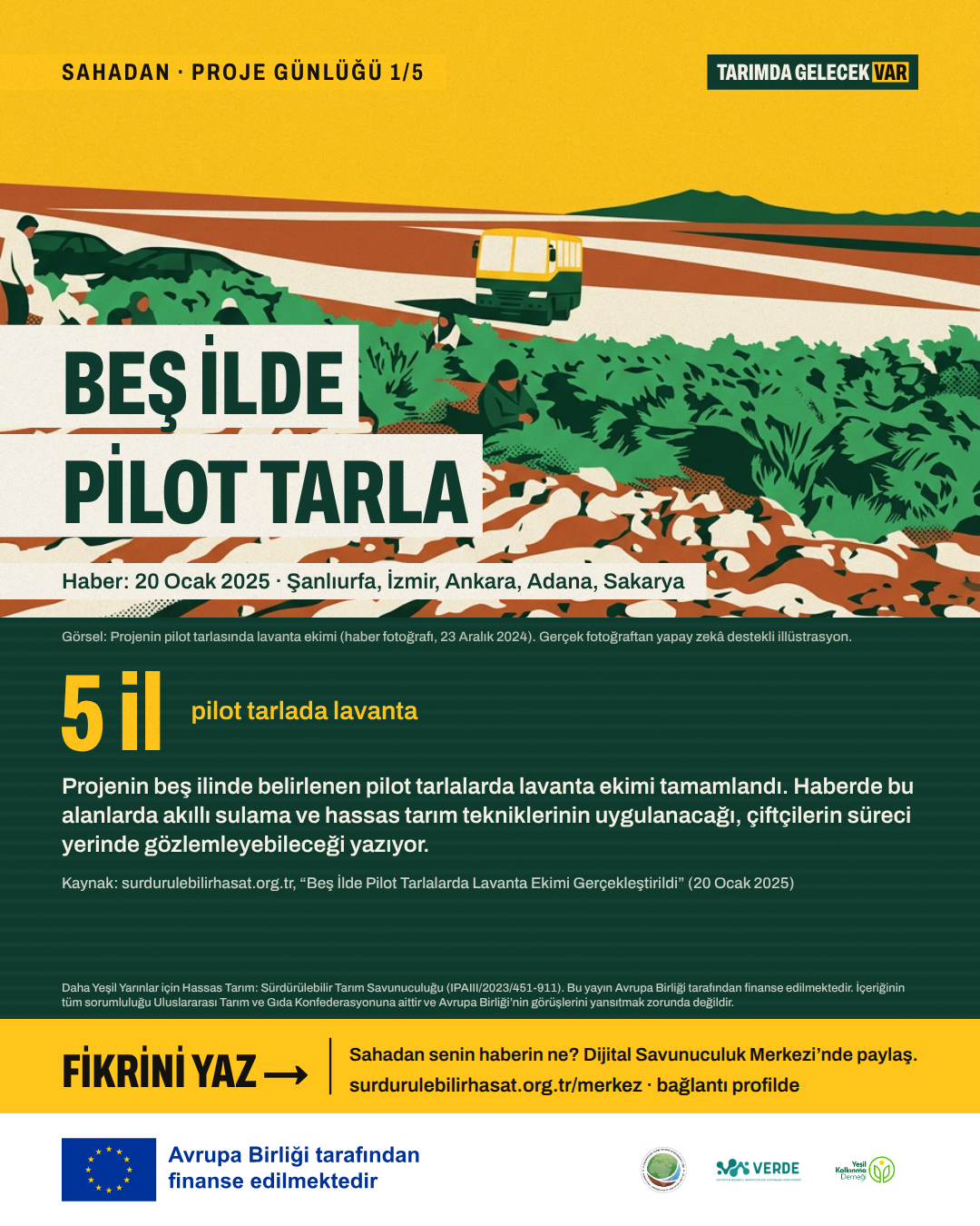 Beş ilde pilot tarlalara lavanta ekildi